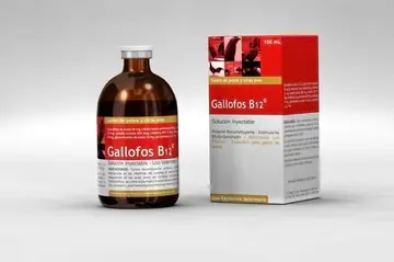 Gallofos® B12