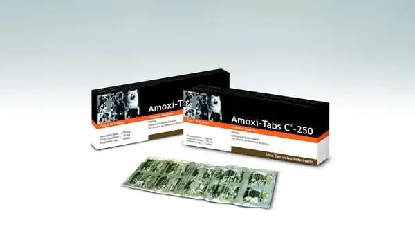 Amoxi-Tabs C®-250