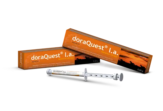 DoraQuest® L.A.