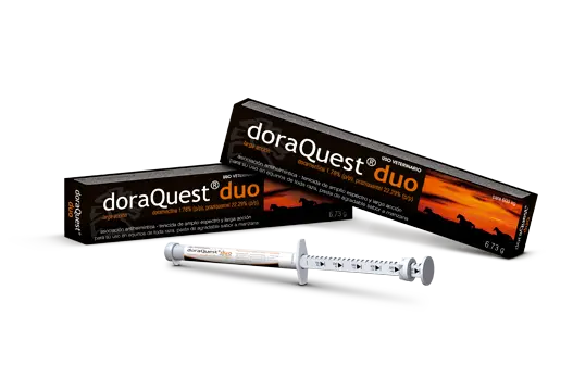 DoraQuest® Duo