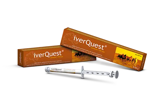 IverQuest®