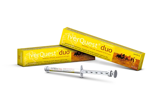 IverQuest® duo