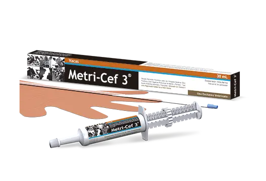 Metri-cef 3®