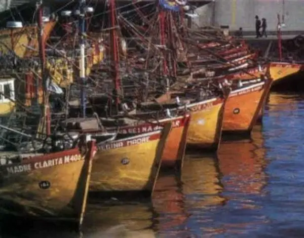 Harina de pescado/Fish Meal