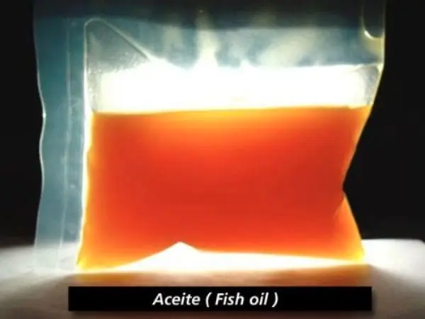 Aceite natural de pescado/ Natural Fish Oil