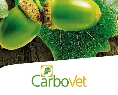 CARBOVET