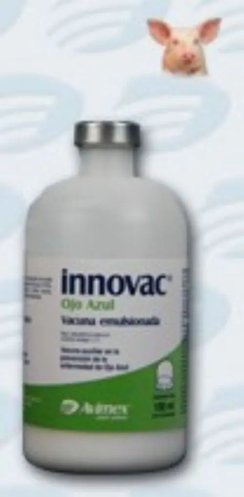 Innovac Ojo Azul