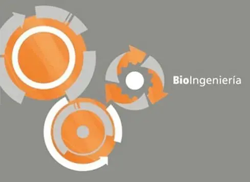 BioIngeniería LatinoAmericana® - Ingeniería Aplicada a la Alimentación Animal