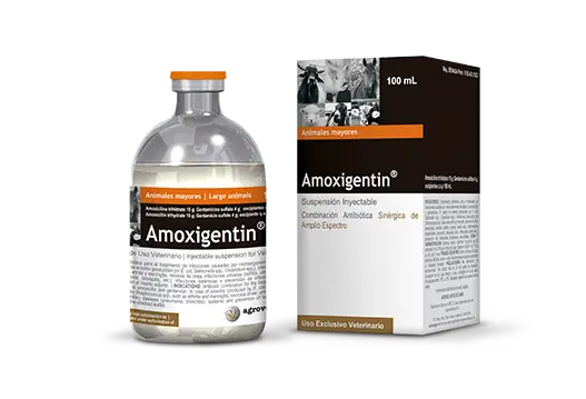 Amoxigentin®