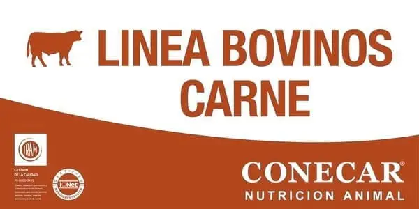 1-22 Preiniciador Ternero (Línea Cabañas Bovinos Carne)