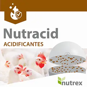 NUTRACID INSTENTIM