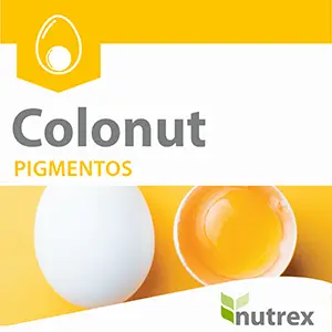 COLONUT