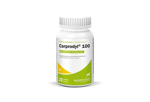 Carprodyl® 100