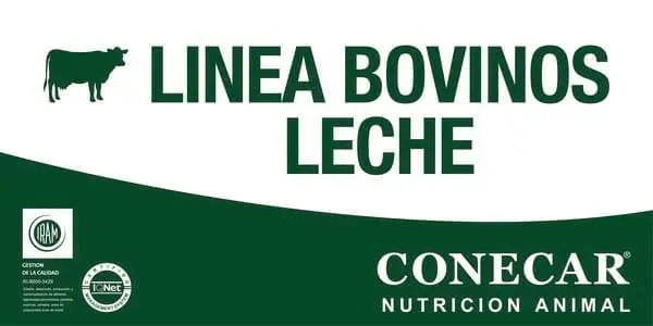 2-05 Concentrado 20 Bovino Iniciador (Destete Hiperprecoz / Recria)