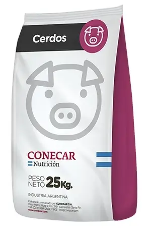 3-02 Cerdos Recría 20 kilos a 60 kilos de peso.