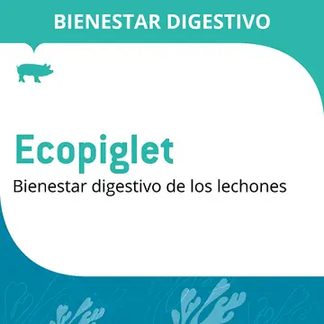Ecopiglet