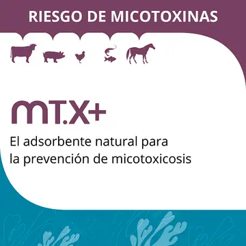MT.x+ Adsorbente natural contra micotoxicosis
