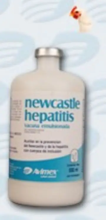 Newcastle - Hepatitis