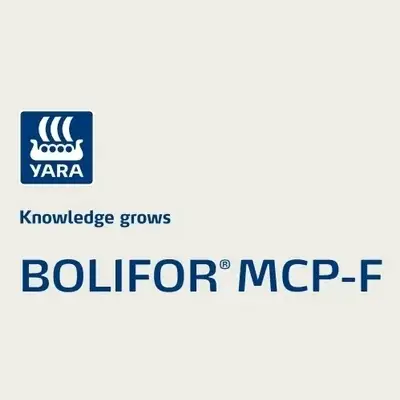 BOLIFOR® MCP