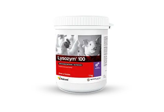 Lysozym® 100