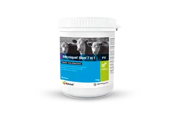 Microquel® Beef 7 in 1 Px - Premezcla