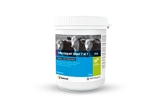 Microquel® Beef 7 in 1 Px - Premezcla