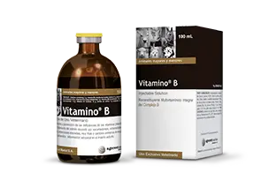 Vitamino® B