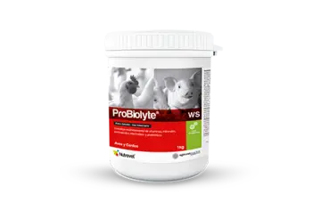 Probiolyte® WS