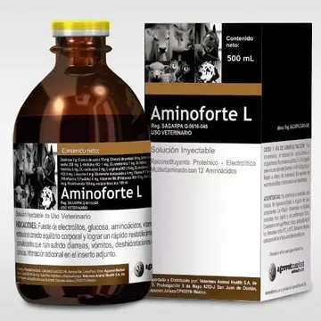 Aminoforte® L