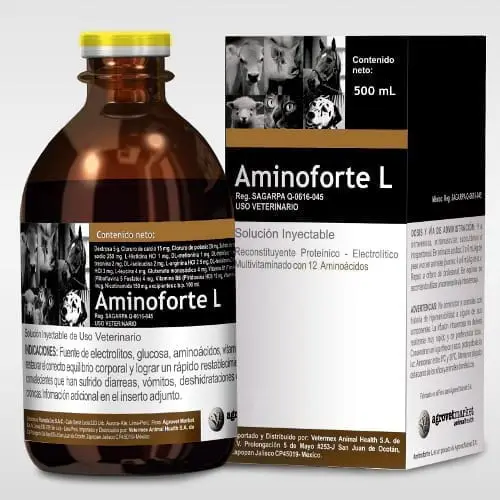 Aminoforte® L
