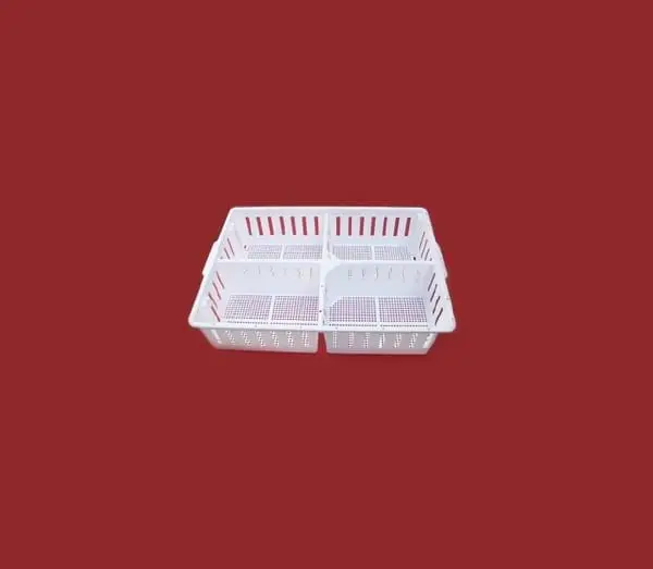 Caja para pollo de un día