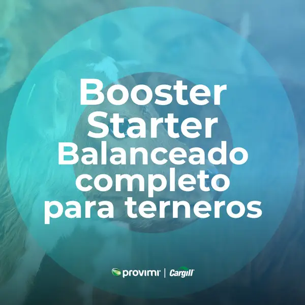 Booster Starter - Balanceado completo para terneros