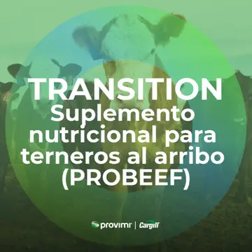 Transition - Suplemento nutricional para terneros al arribo (PROBEEF)