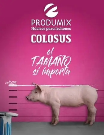 COLOSUS - Núcleos para lechones