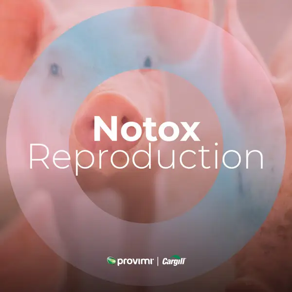 Notox Reproduction