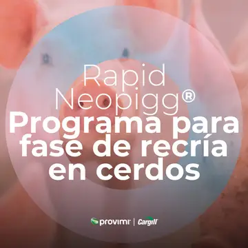 Rapid Neopigg® - Programa para fase de recría en cerdos