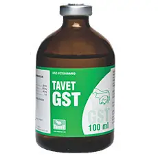 TAVET GST