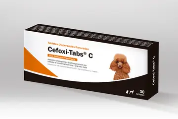 Cefoxi-Tabs® C