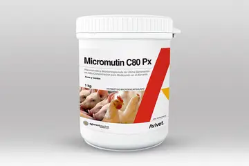 Micromutin® C80 Px