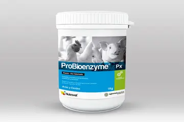 Probioenzyme® Px