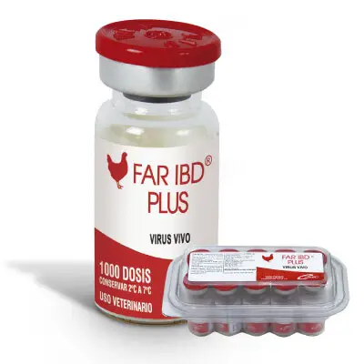 FAR IBD PLUS