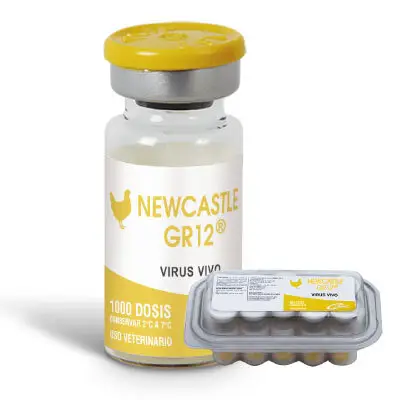 NEWCASTLE GR12