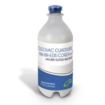 OLEOVAC CUADRUPLE NW-BR-EDS-CORIZA PLUS®