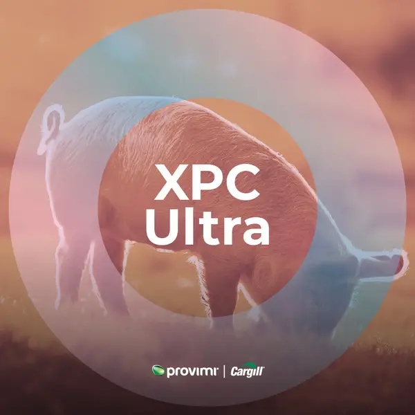 XPC Ultra