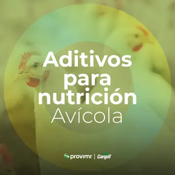 Aditivos para nutrición Avícola