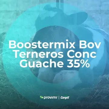 Boostermix Bov Terneros Conc Guache 35%