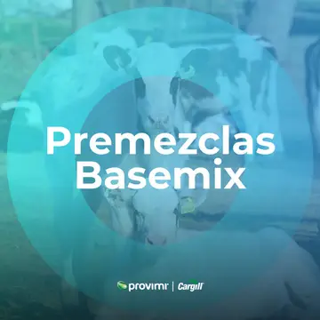 Premezclas / Basemix
