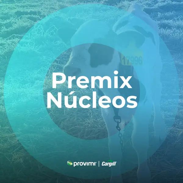 Premix - Núcleos