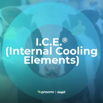 I.C.E.® (Internal Cooling Elements)