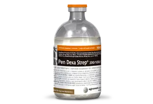 Pen Dexa Strep® 200/100/250